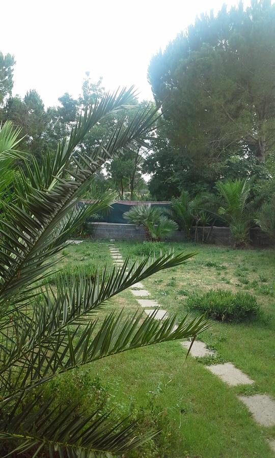 A57 Bed & Breakfast Casal Palocco Luaran gambar